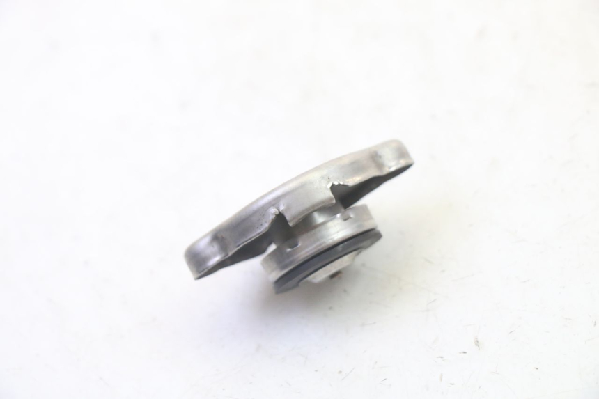 photo de TAMPA DO RADIADOR HONDA FES S-WING SWING ABS 125 (2007 - 2015) - Detalhe da peça