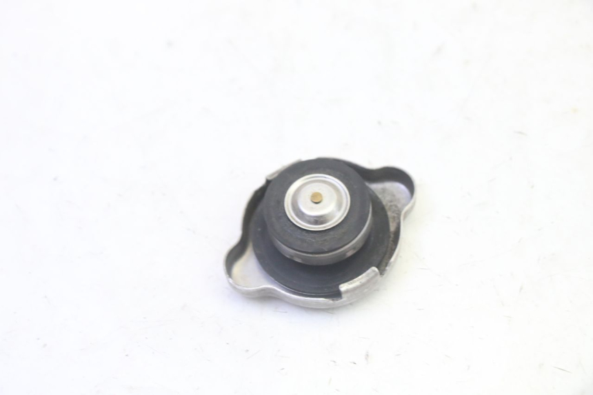 photo de TAMPA DO RADIADOR HONDA FES S-WING SWING ABS 125 (2007 - 2015) - Zoom do estado de desgaste