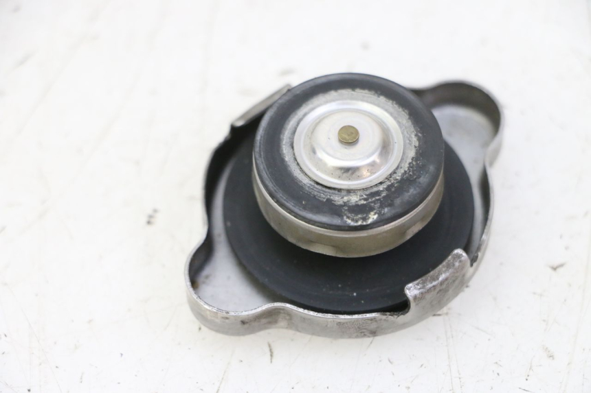photo de TAMPA DO RADIADOR HONDA FES S-WING SWING ABS 125 (2007 - 2015) - Detalhe da peça