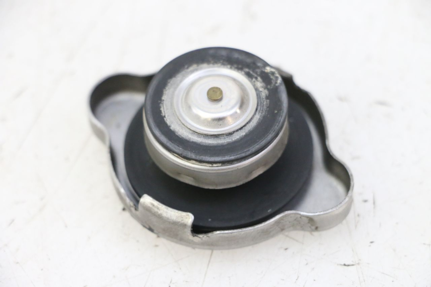 photo de TAMPA DO RADIADOR HONDA FES S-WING SWING ABS 125 (2007 - 2015) - Zoom do estado de desgaste