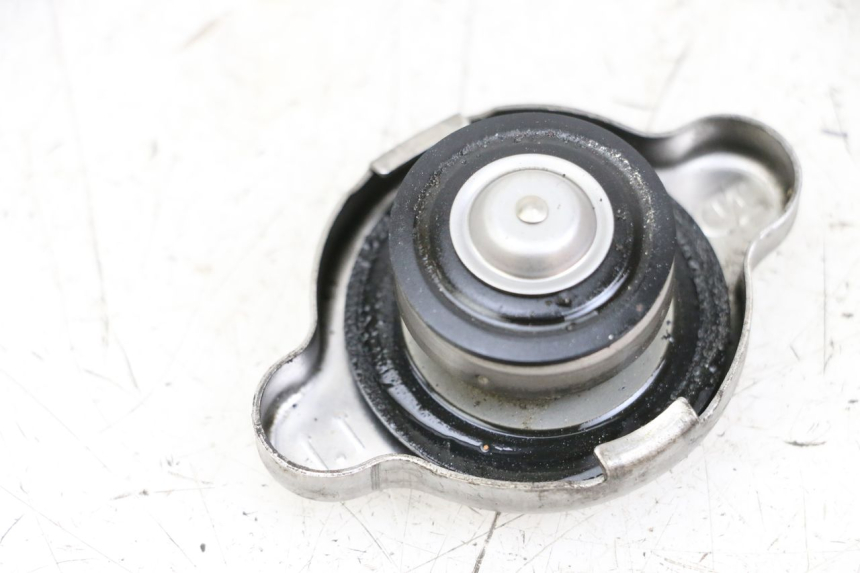 photo de TAMPA DO RADIADOR YAMAHA FJR ABS 1300 (2006 - 2012) - Detalhe da peça
