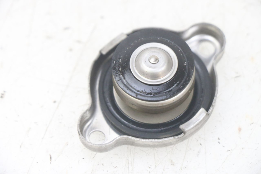 photo de TAMPA DO RADIADOR YAMAHA FJR ABS 1300 (2006 - 2012) - Detalhe da peça