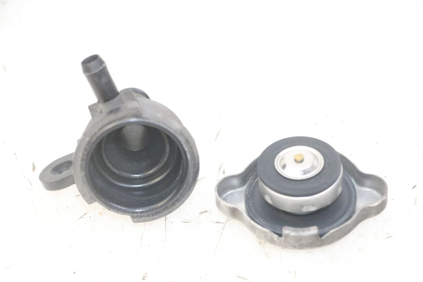 photo de TAMPA DO RADIADOR HONDA FORZA ABS 300 (2013 - 2017) - Vista principal