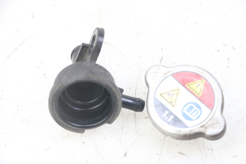 photo de TAMPA DO RADIADOR HONDA FORZA ABS 300 (2013 - 2017) - Detalhe da peça