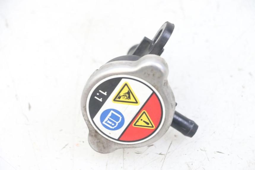 photo de TAMPA DO RADIADOR HONDA FORZA ABS 300 (2013 - 2017) - Zoom do estado de desgaste