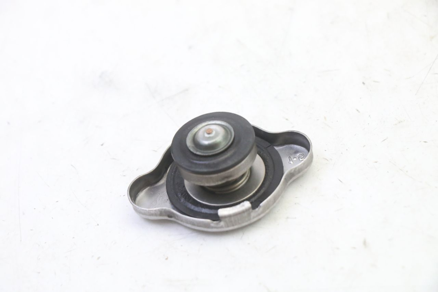 photo de TAMPA DO RADIADOR BMW G310 R 310 (2016 - 2020) - Zoom do estado de desgaste