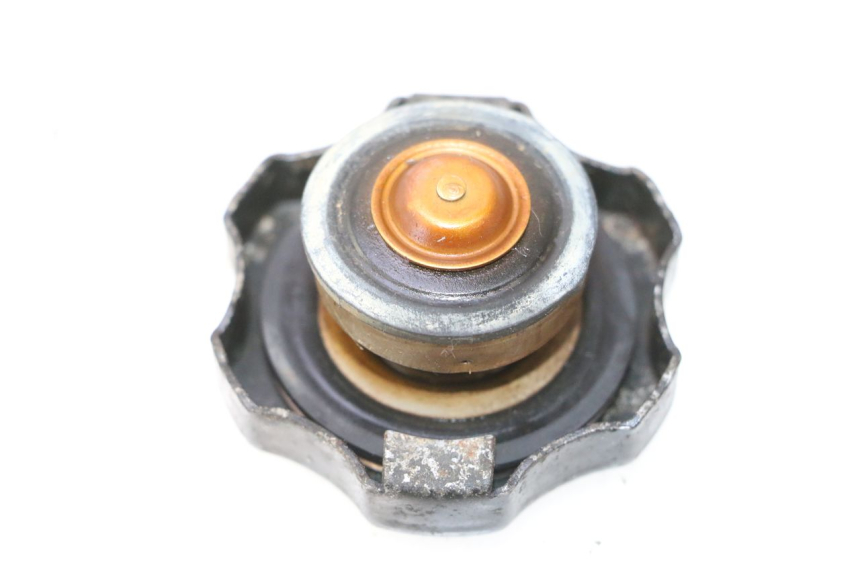 photo de TAMPA DO RADIADOR KAWASAKI GPX F ZX750F 750 (1986 - 1990) - Zoom do estado de desgaste