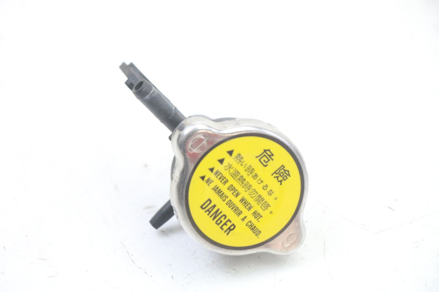 photo de TAMPA DO RADIADOR KYMCO GRAND DINK 125 (2008 - 2014) - Zoom do estado de desgaste