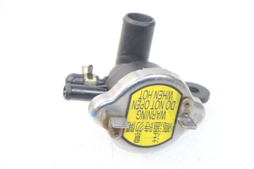 photo de TAMPA DO RADIADOR SYM GTS EFI ABS 125 (2012 - 2016) - Detalhe da peça