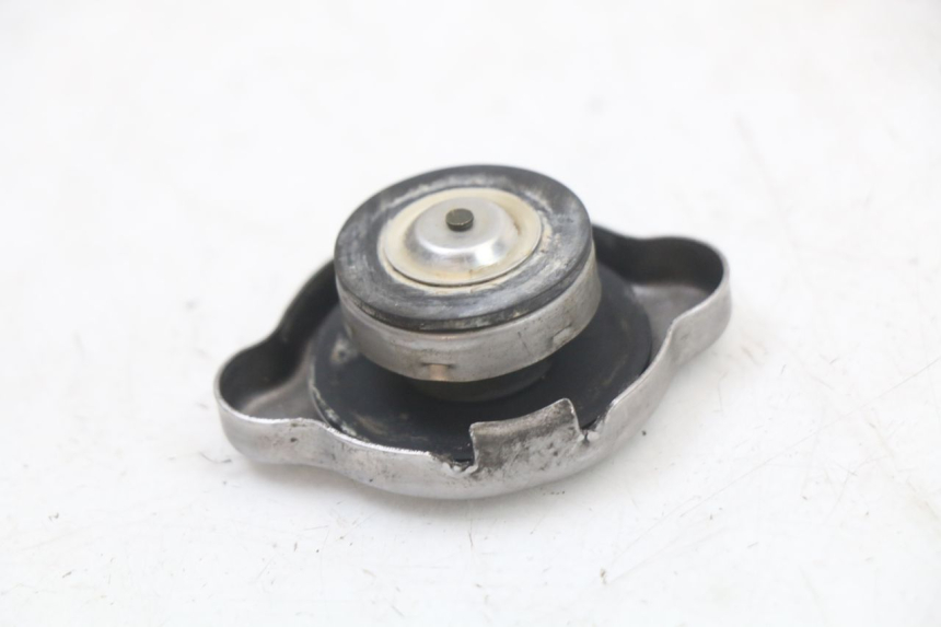 photo de TAMPA DO RADIADOR HONDA FES S-WING SWING 125 (2007 - 2015) - Outro ângulo de visão