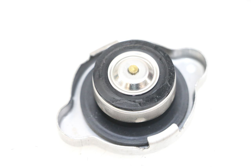 photo de TAMPA DO RADIADOR HONDA NHX LEAD 110 (2008 - 2010) - Detalhe da peça