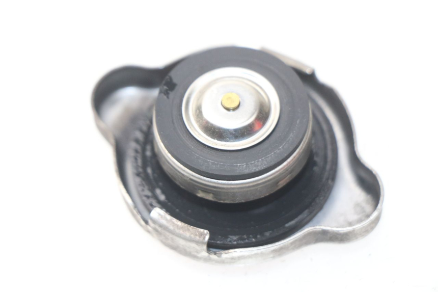 photo de TAMPA DO RADIADOR HONDA NSS EX FORZA 250 (2005 - 2013) - Detalhe da peça