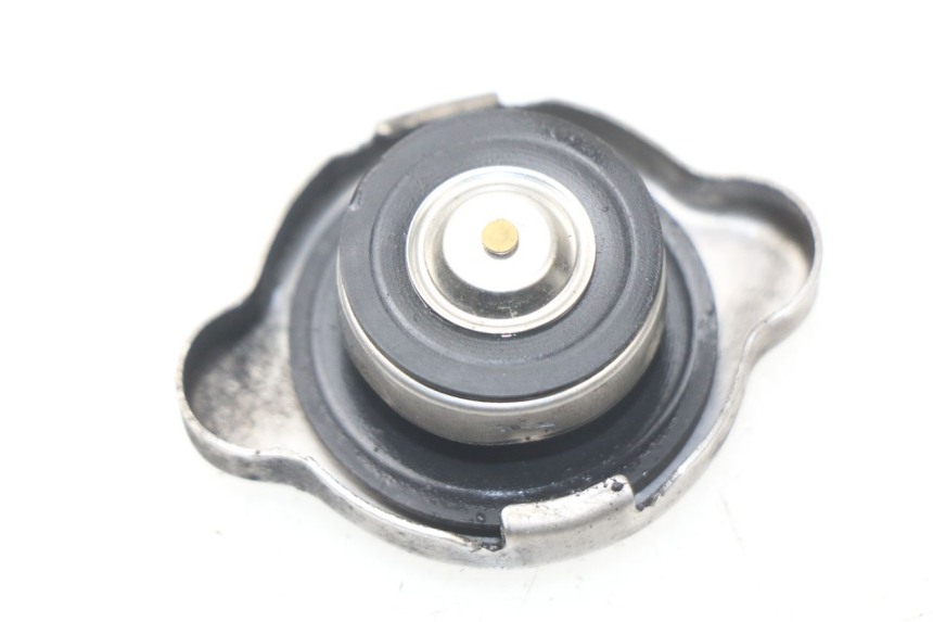photo de TAMPA DO RADIADOR HONDA PCX (JF47) 125 (2012 - 2013) - Detalhe da peça
