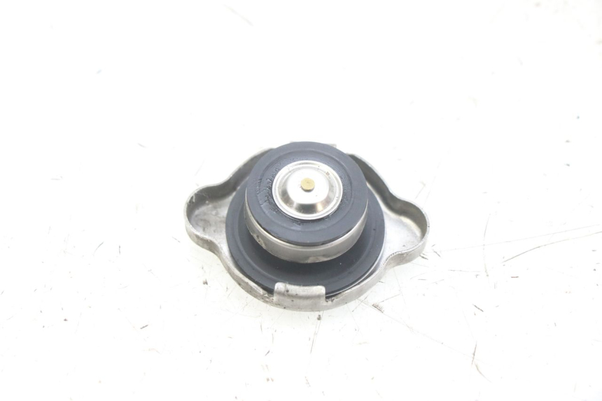 photo de TAMPA DO RADIADOR HONDA PCX (JF47) 125 (2012 - 2013) - Detalhe da peça