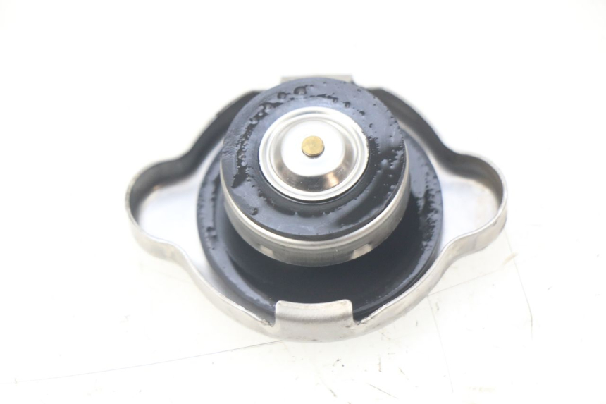 photo de TAMPA DO RADIADOR HONDA PCX (JF57/JF64) 125 (2014 - 2018) - Detalhe da peça