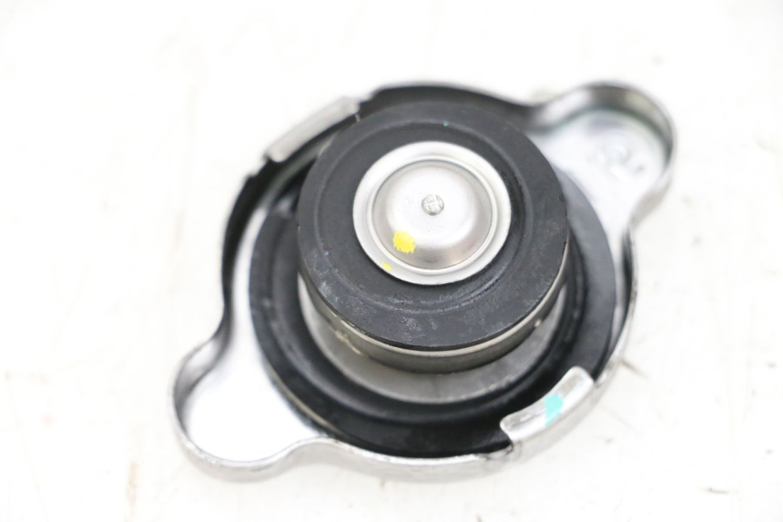 photo de TAMPA DO RADIADOR BMW R GS 1250 (2021 - 2024) - Vista principal