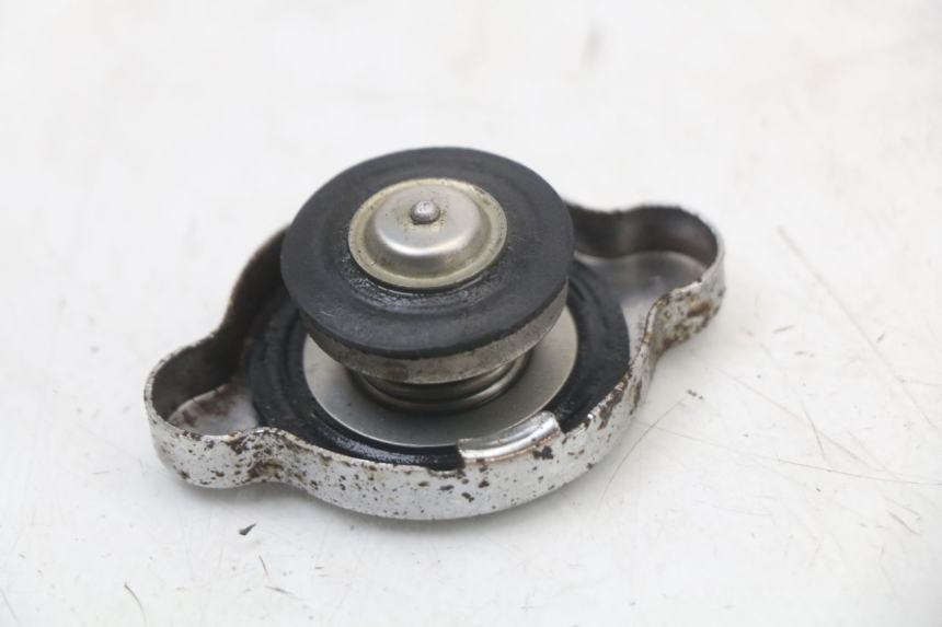 photo de TAMPA DO RADIADOR REGAL RAPTOR SPYDER 125 (2010 - 2018) - Outro ângulo de visão