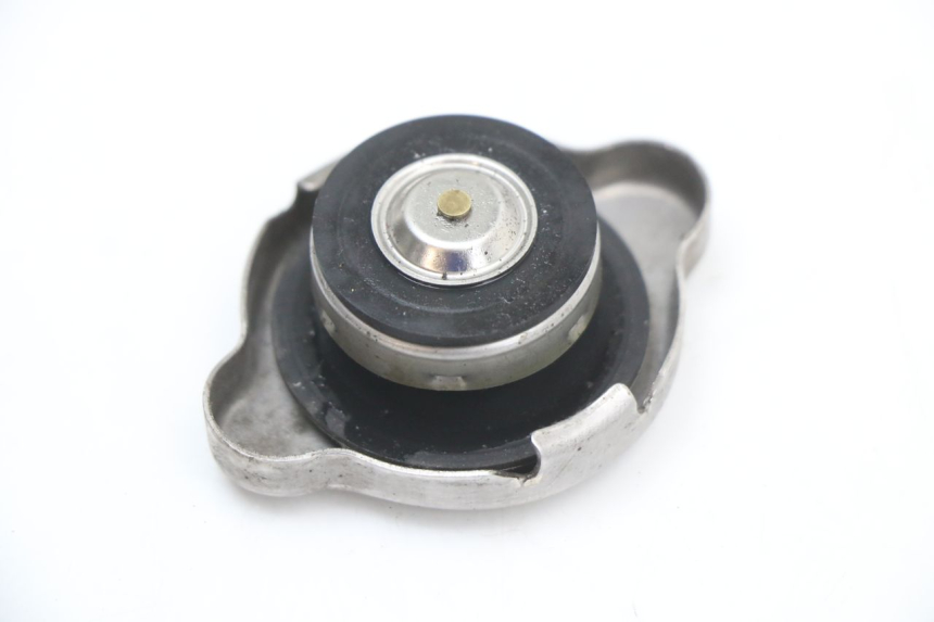 photo de TAMPA DO RADIADOR HONDA SH ABS 125 (2012 - 2017) - Detalhe da peça