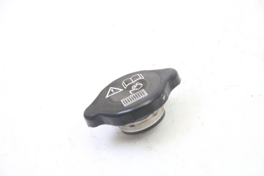 photo de TAMPA DO RADIADOR TRIUMPH SPRINT 900 (1995 - 1998) - Detalhe da peça