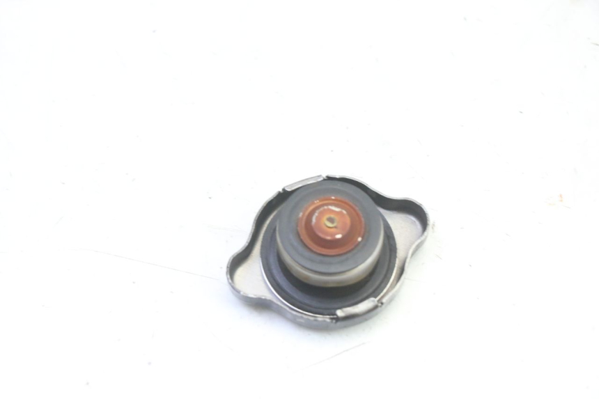 photo de TAMPA DO RADIADOR TRIUMPH SPRINT 900 (1995 - 1998) - Zoom do estado de desgaste