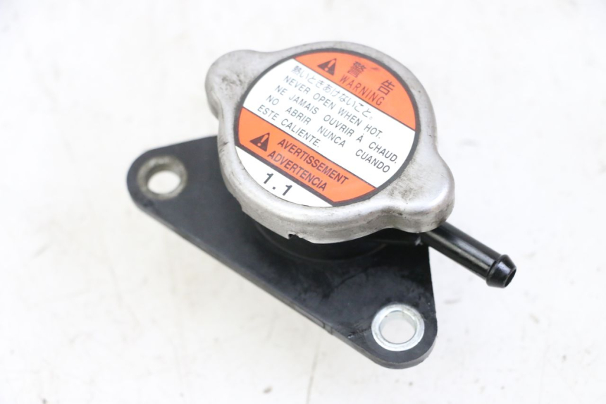 photo de TAMPA DO RADIADOR SUZUKI BURGMAN 125 (2015 - 2017) - Detalhe da peça
