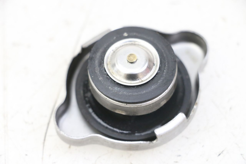 photo de TAMPA DO RADIADOR SUZUKI GSX F GSXF 650 (2007 - 2015) - Vista principal