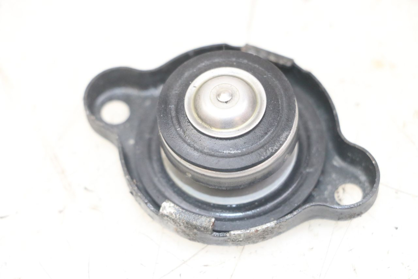 photo de TAMPA DO RADIADOR YAMAHA TDM ABS 900 (2002 - 2014) - Vista principal