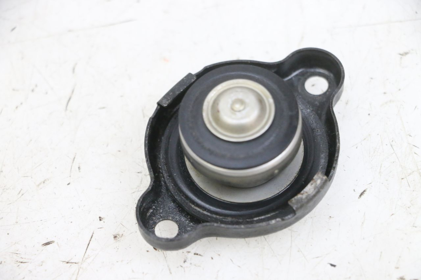 photo de TAMPA DO RADIADOR YAMAHA TDM ABS 900 (2002 - 2014) - Detalhe da peça