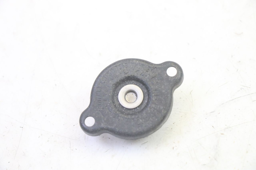 photo de TAMPA DO RADIADOR YAMAHA TDM ABS 900 (2002 - 2014) - Vista principal