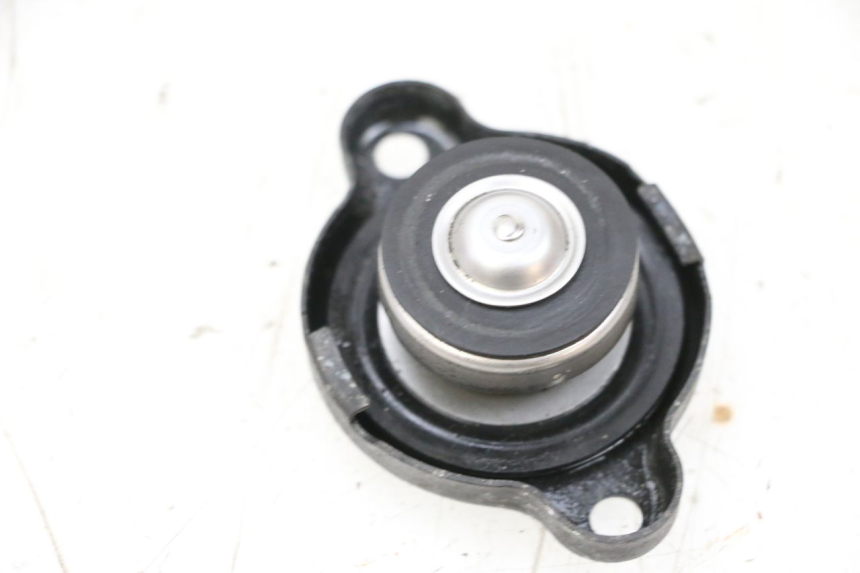 photo de TAMPA DO RADIADOR YAMAHA TDM ABS 900 (2002 - 2014) - Detalhe da peça