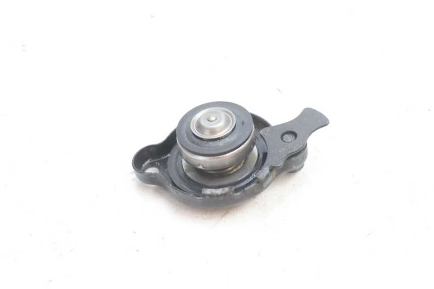 photo de TAMPA DO RADIADOR YAMAHA TDM ABS 900 (2002 - 2014) - Zoom do estado de desgaste