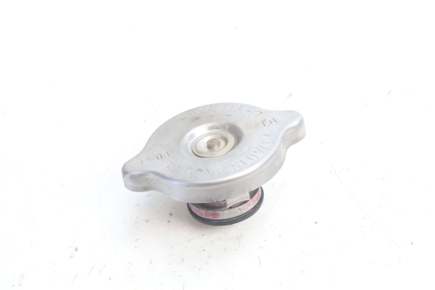 photo de TAMPA DO RADIADOR HUSABERG TE 250 (2011 - 2014) - Detalhe da peça