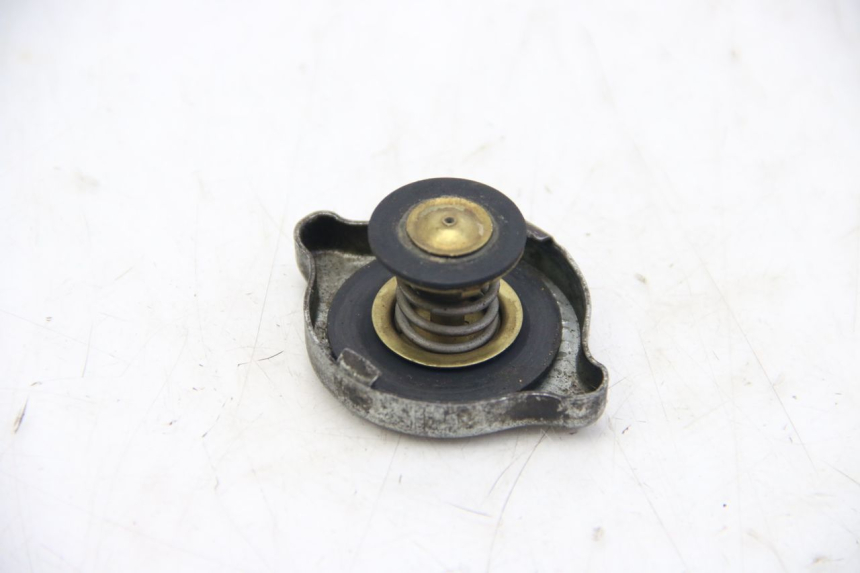 photo de TAMPA DO RADIADOR PEUGEOT XP6 50 (1997 - 2003) - Detalhe da peça