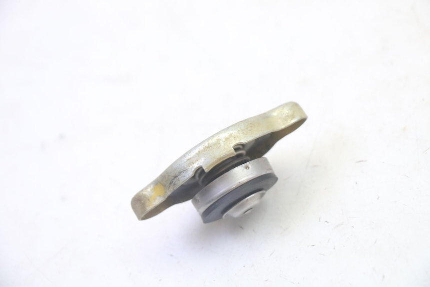 photo de TAMPA DO RADIADOR YAMAHA YFM GRIZZLY 550 (2008 - 2015) - Detalhe da peça