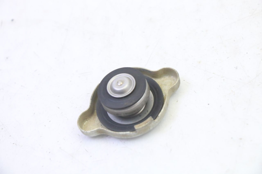 photo de TAMPA DO RADIADOR YAMAHA YFM GRIZZLY 550 (2008 - 2015) - Zoom do estado de desgaste