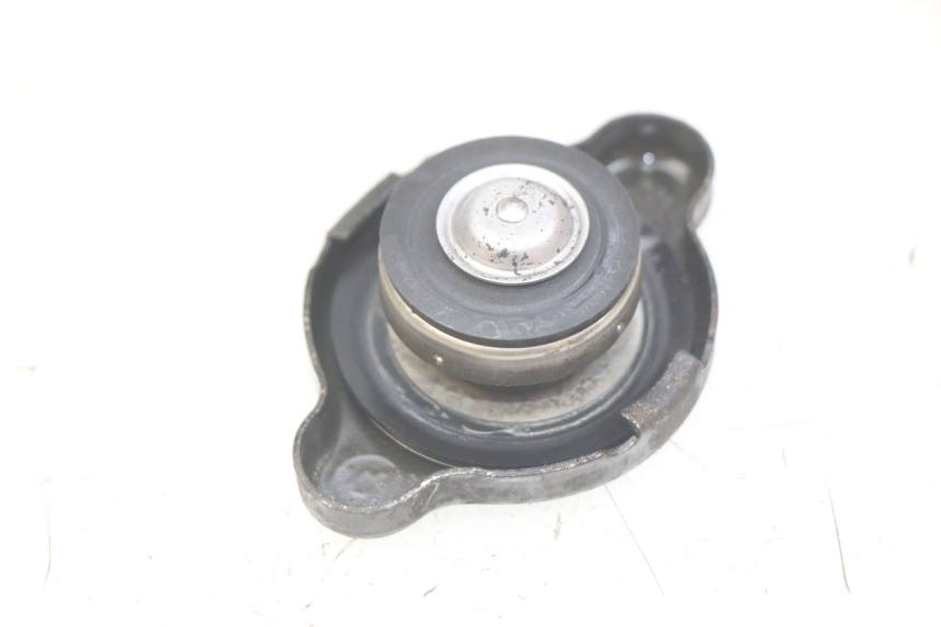 photo de TAMPA DO RADIADOR YAMAHA YP MAJESTY 400 (2004 - 2008) - Detalhe da peça