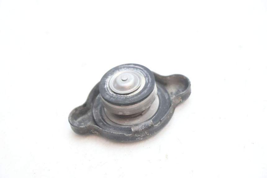 photo de TAMPA DO RADIADOR YAMAHA YZF R GENESIS 750 (1993 - 1998) - Zoom do estado de desgaste