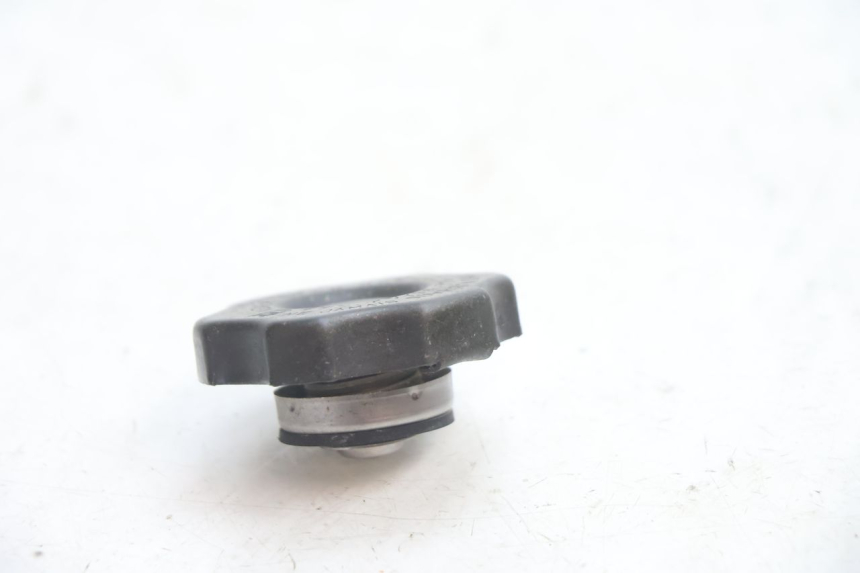 photo de TAMPA DO RADIADOR KAWASAKI ZX-6R ZX6R 600 (2000 - 2002) - Detalhe da peça