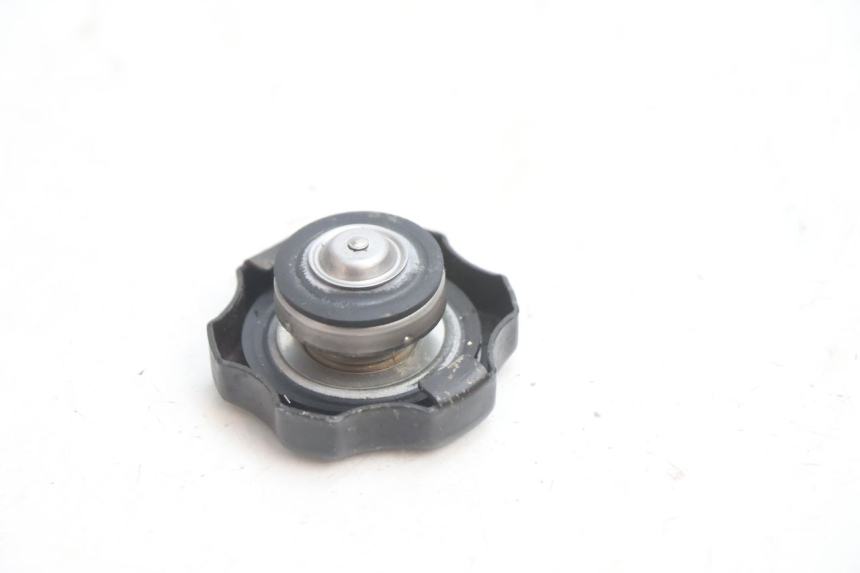 photo de TAMPA DO RADIADOR KAWASAKI ZX-6R ZX6R 600 (2000 - 2002) - Zoom do estado de desgaste