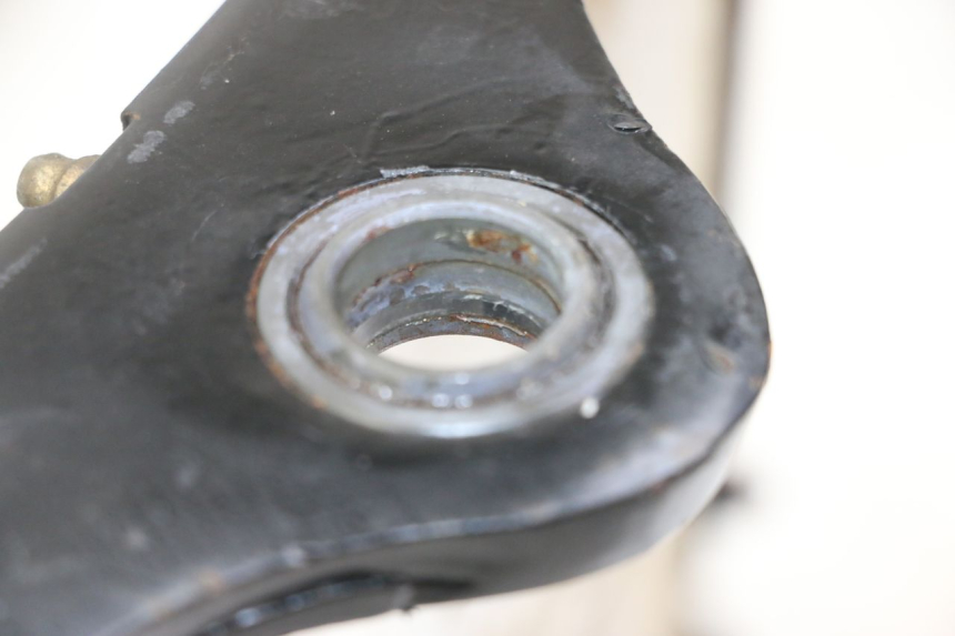 photo de BRAÇO OSCILANTE REGAL RAPTOR SPYDER 125 (2010 - 2018) - Detalhe da peça
