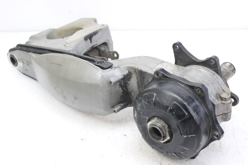 photo de Balança traseira TRIUMPH SPRINT ST 955 (1999 - 2001) - Detalhes característicos