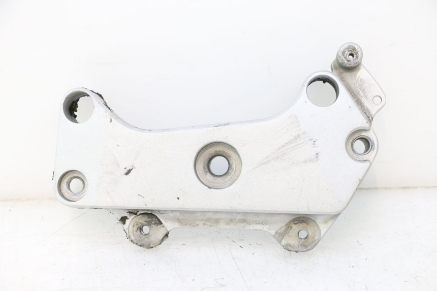 photo de TAMPA LATERAL DO QUADRO ESQUERDO HONDA CB F HORNET 600 (2005 - 2006) - Vista principal