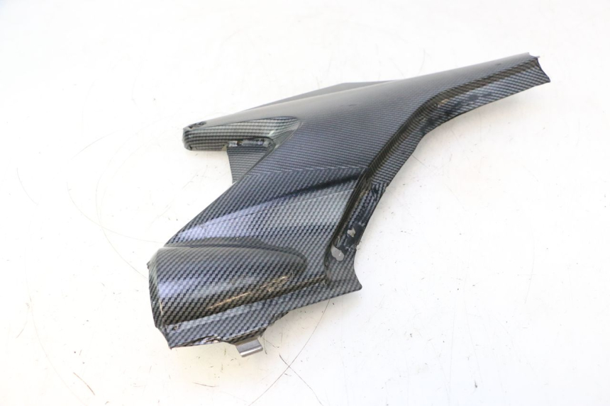 photo de TAMPA DIREITA SOB O ASSENTO HONDA CB F HORNET 600 (2005 - 2006) - Estado da superfície