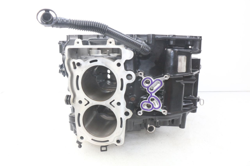 photo de CARTER INFERIOR DO MOTOR BMW F GS K81 850 (2018 - 2023) - Zoom do estado de desgaste
