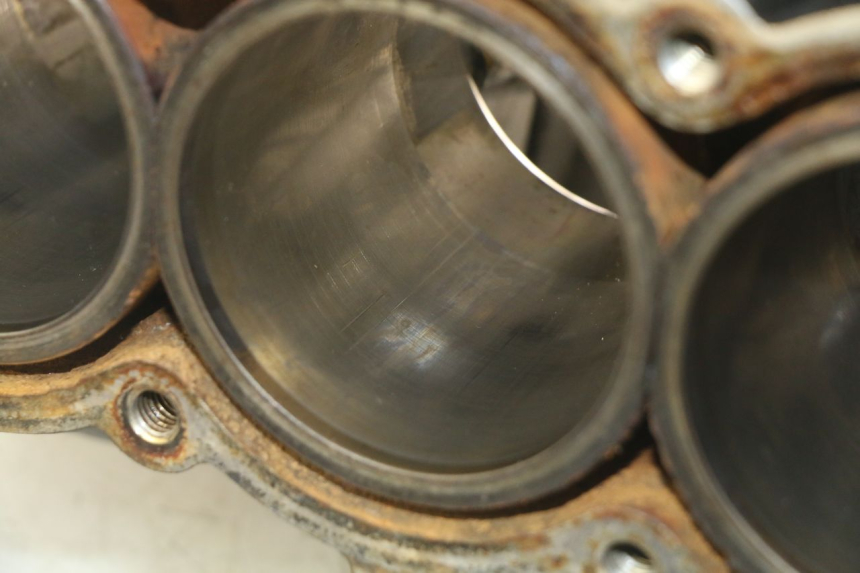 photo de CARTER INFERIOR DO MOTOR TRIUMPH SPRINT ST 955 (1999 - 2001) - Zoom de qualidade