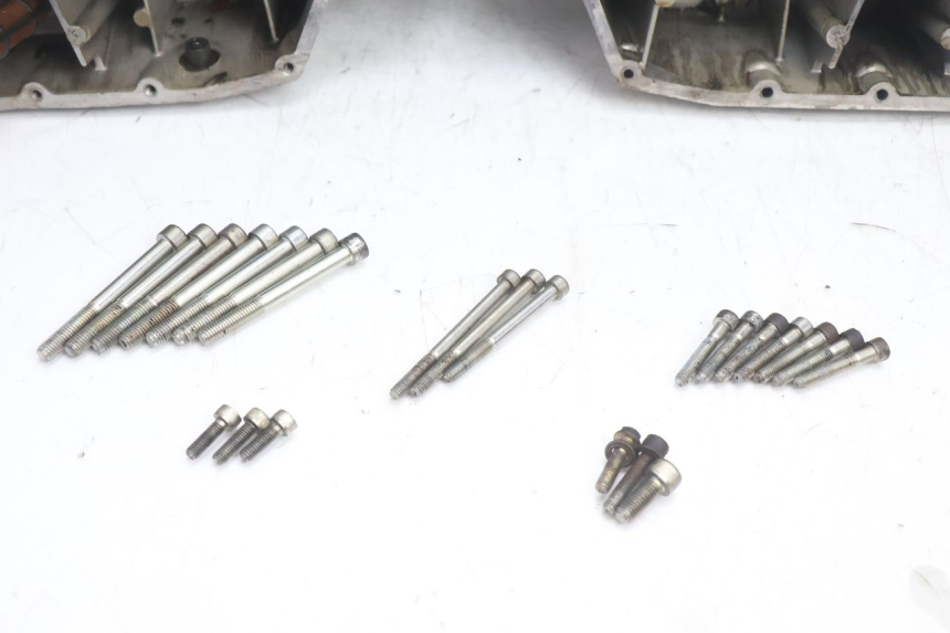 photo de CARCAÇA INFERIOR DO MOTOR DUCATI SS IE DS CARENEE 1000 (2002 - 2006) - Estado da superfície