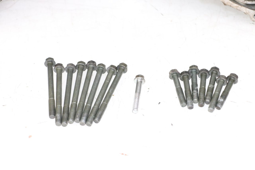 photo de CARTER INFERIOR DO MOTOR SUZUKI VL INTRUDER 125 (2004 - 2007) - Vista de perto