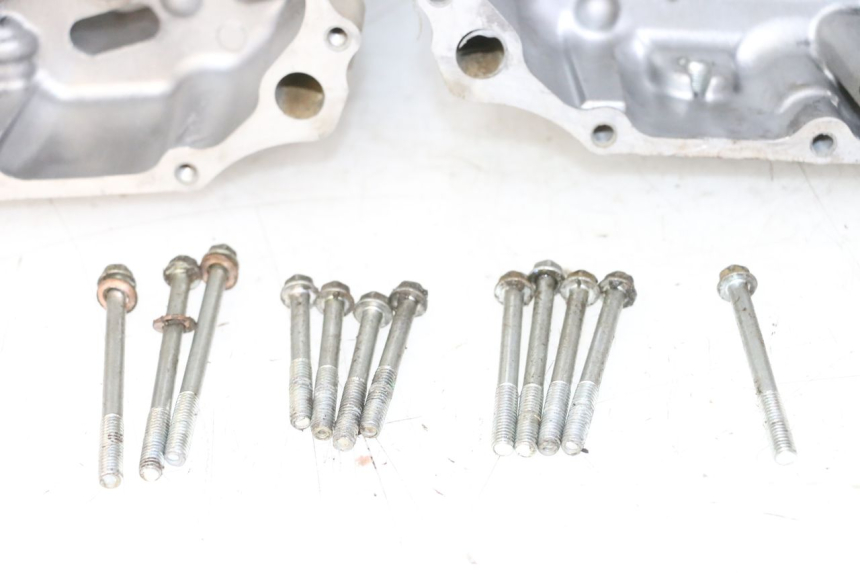 photo de CARTER INFERIOR DO MOTOR YAMAHA YFM R RAPTOR 250 (2008 - 2014) - Inspeção visual
