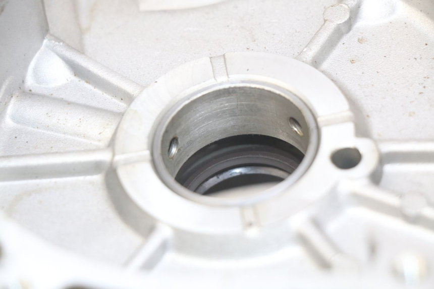 photo de TAMPA LATERAL ESQUERDA DO MOTOR APRILIA SCARABEO LIGHT 125 (2007 - 2011) - Zoom do estado de desgaste