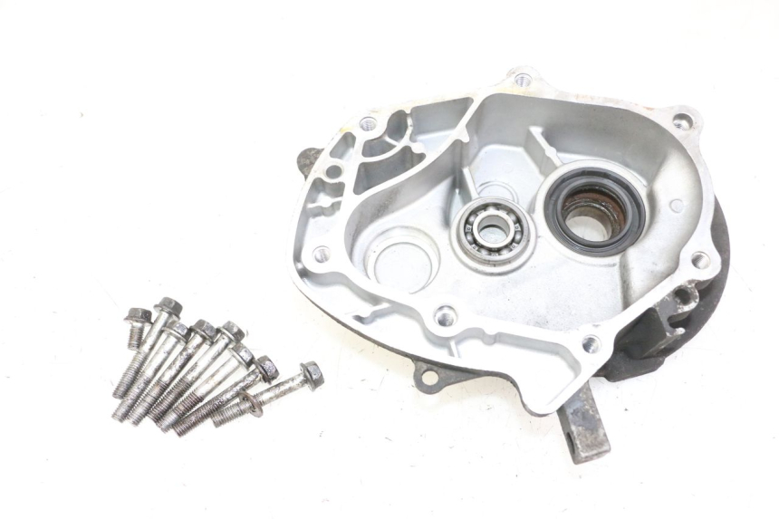photo de CARCAÇA DE TRANSMISSÃO DA RODA HONDA FES S-WING SWING ABS 125 (2007 - 2015) - Vista principal